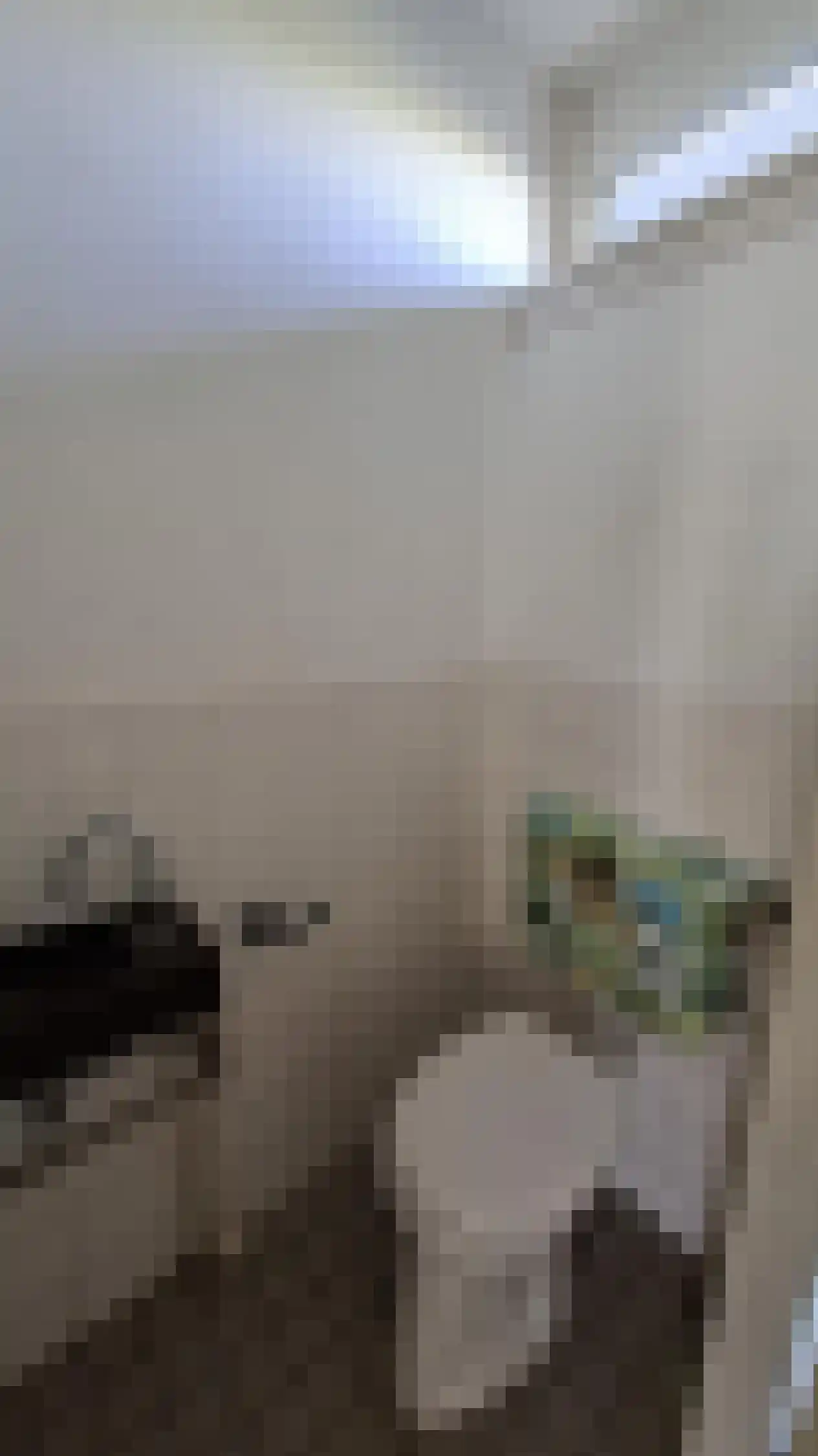 Ebrostraat 62 Spijkenisse thumbnail 5