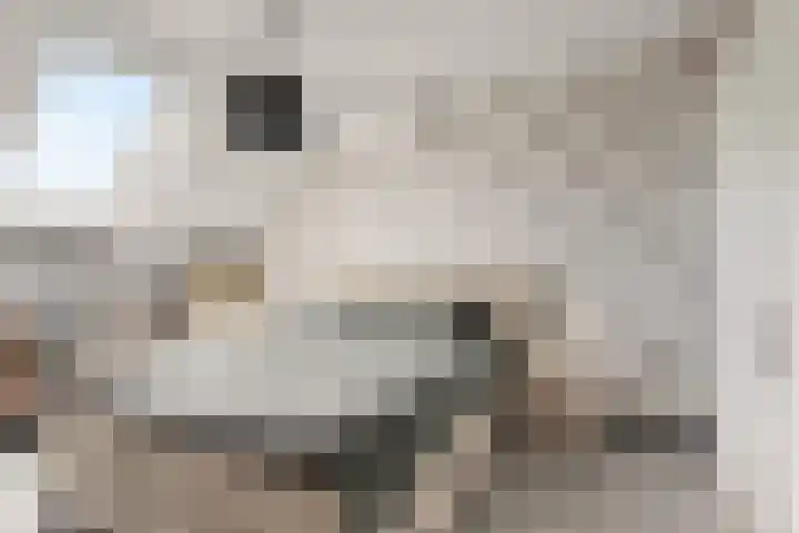 Ebrostraat 72 Spijkenisse thumbnail 13