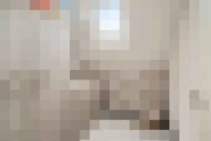 Ebrostraat 72 Spijkenisse thumbnail 17