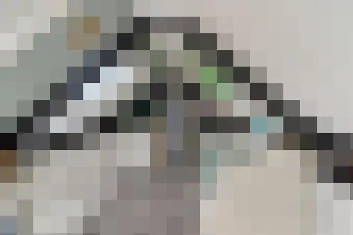Ebrostraat 72 Spijkenisse thumbnail 22