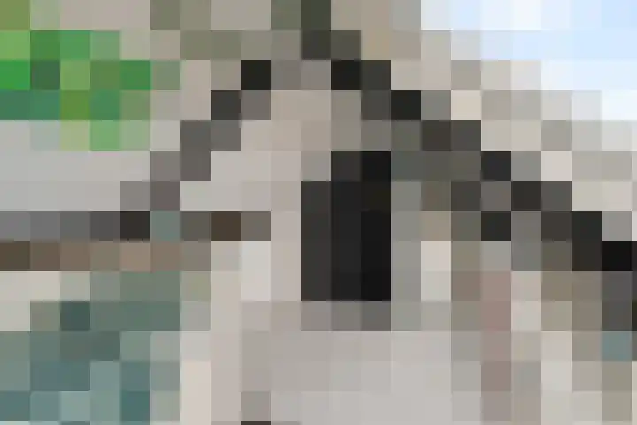 Ebrostraat 72 Spijkenisse thumbnail 23