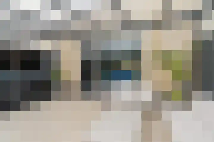 Ebrostraat 72 Spijkenisse thumbnail 25