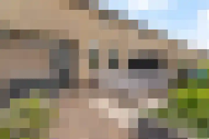 Ebrostraat 72 Spijkenisse thumbnail 28