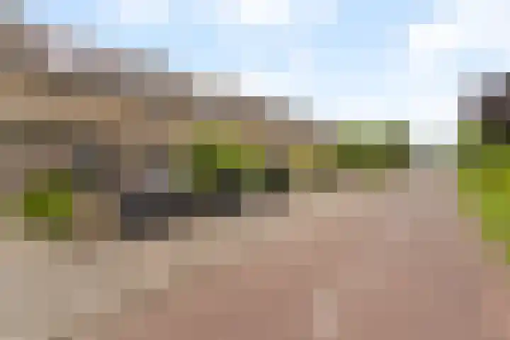 Ebrostraat 72 Spijkenisse thumbnail 30