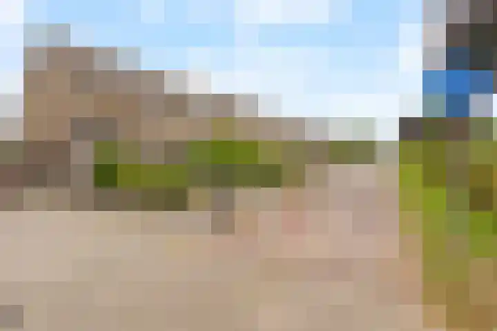 Ebrostraat 72 Spijkenisse thumbnail 31