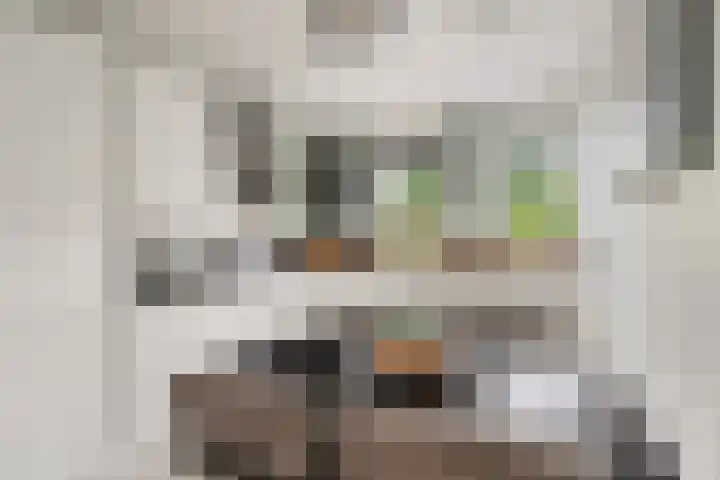 Ebrostraat 72 Spijkenisse thumbnail 4