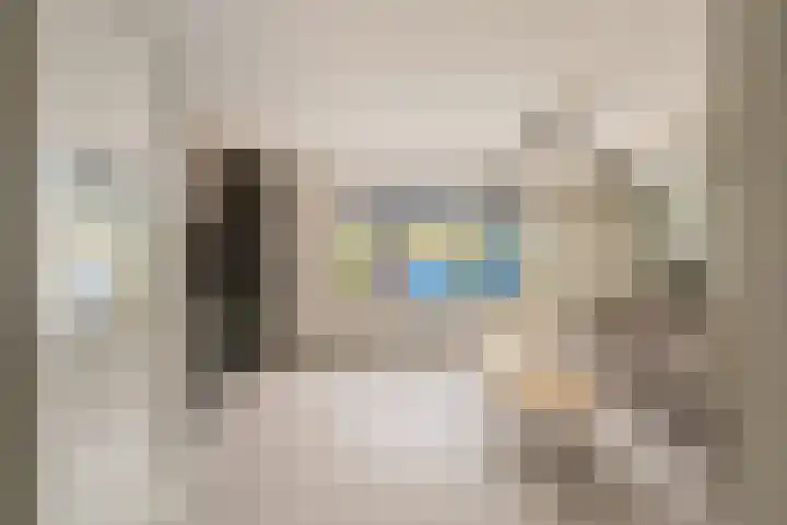 Ebrostraat 72 Spijkenisse thumbnail 7