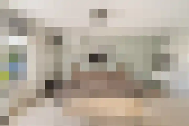 Ebrostraat 72 Spijkenisse thumbnail 8