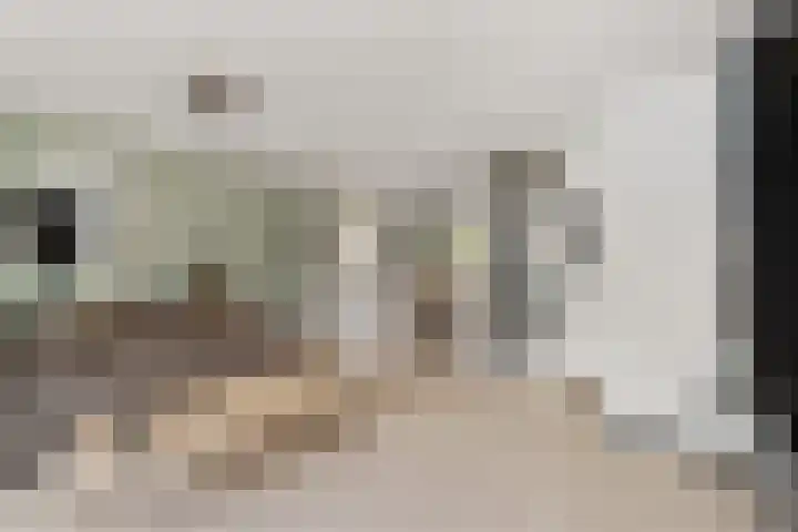 Ebrostraat 72 Spijkenisse thumbnail 9