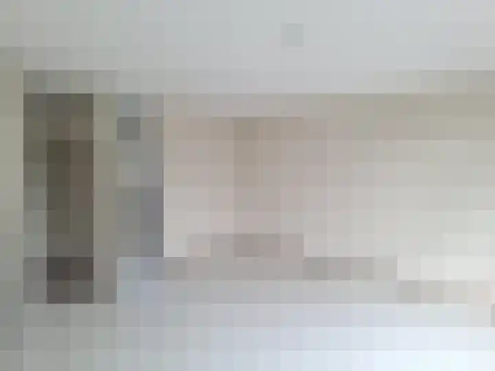Ebrostraat 74 Spijkenisse thumbnail 4