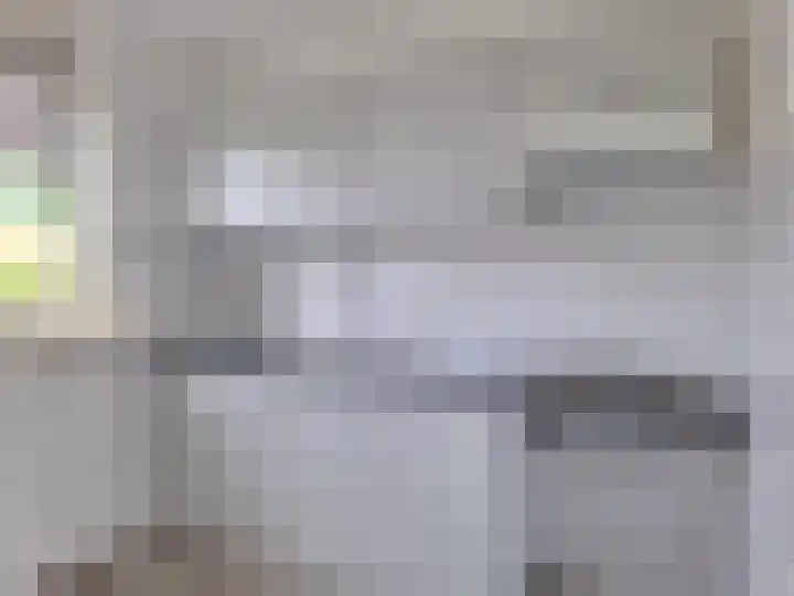 Ebrostraat 74 Spijkenisse thumbnail 5