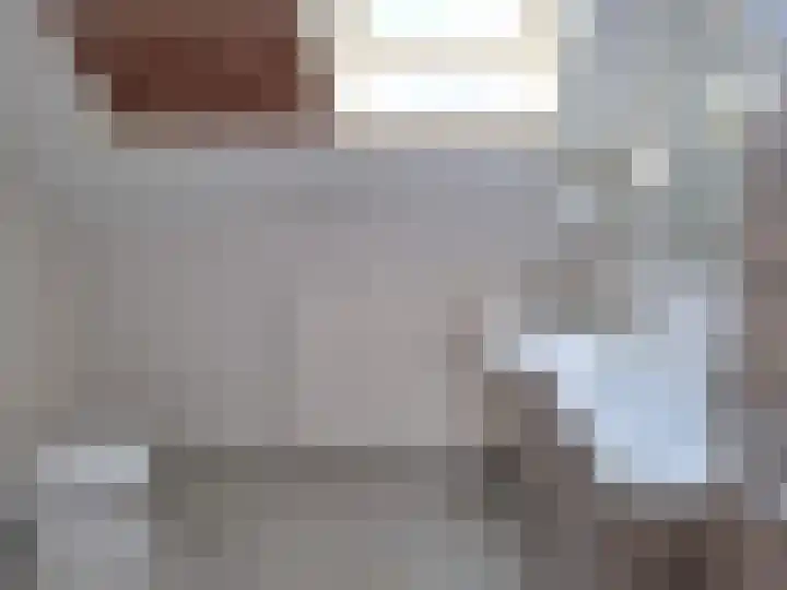 Ebrostraat 74 Spijkenisse thumbnail 6