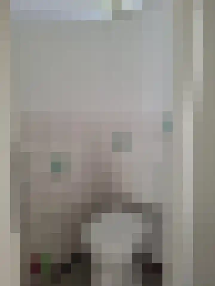 Ebrostraat 74 Spijkenisse thumbnail 7