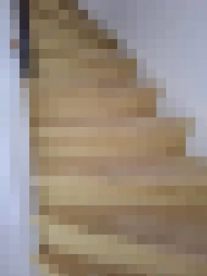 Ebrostraat 74 Spijkenisse thumbnail 8