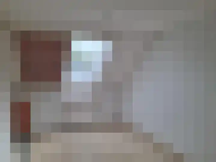 Ebrostraat 74 Spijkenisse thumbnail 9