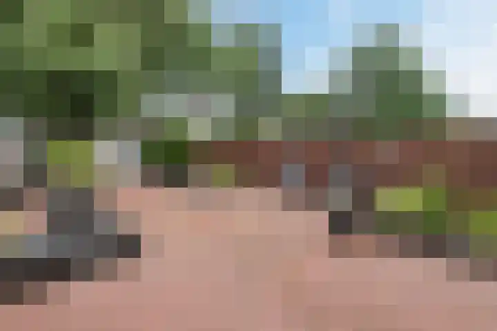 Ebstraat 9 Lelystad thumbnail 35