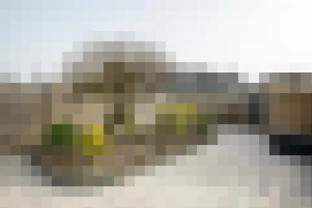 Ebstroom 10 Katwijk thumbnail 22