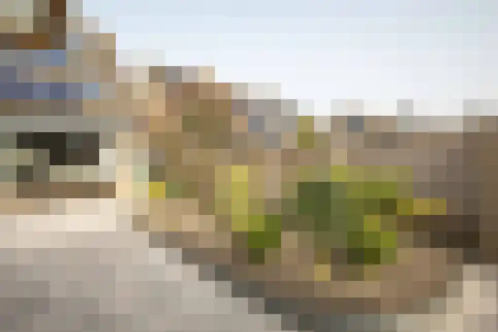 Ebstroom 10 Katwijk thumbnail 23