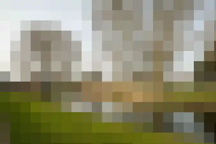 Ebstroom 10 Katwijk thumbnail 25
