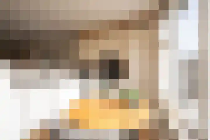 Ebstroom 10 Katwijk thumbnail 8