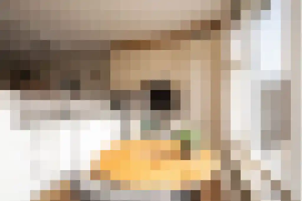 Ebstroom 10 Katwijk thumbnail 8