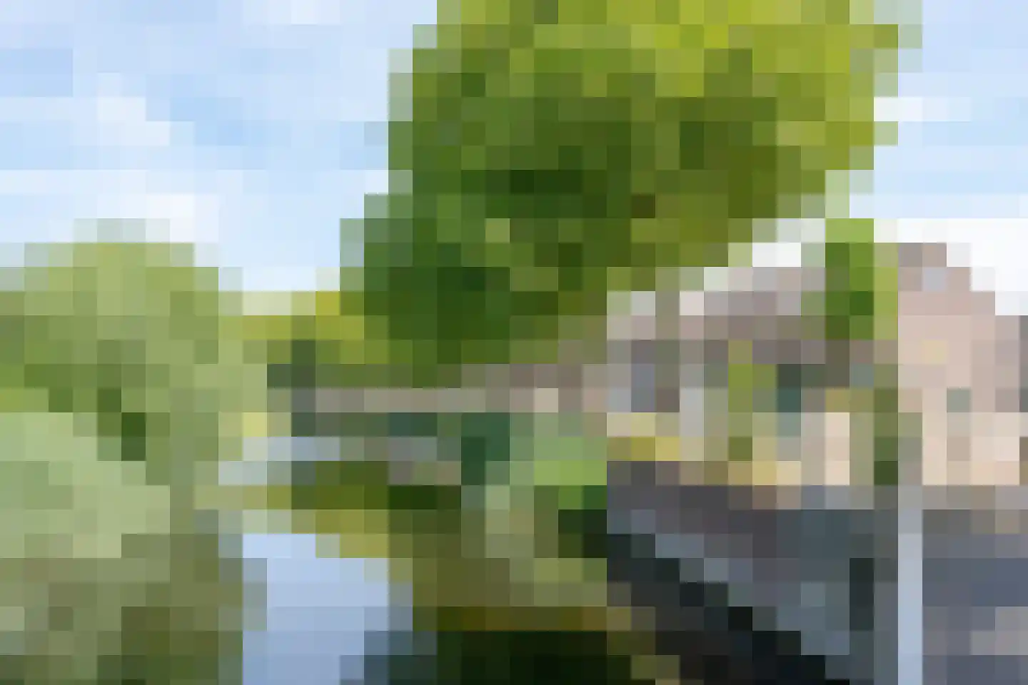 Ebstroom 138 Hellevoetsluis thumbnail 33