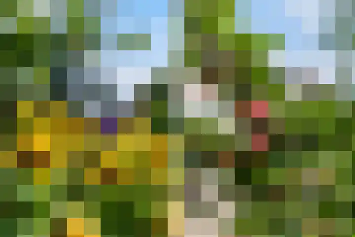 Ebstroom 32 Hellevoetsluis thumbnail 27