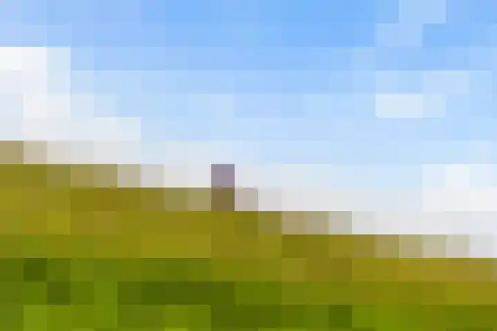 Ebstroom 32 Hellevoetsluis thumbnail 31