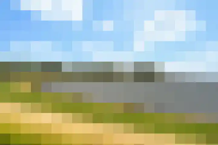Ebstroom 32 Hellevoetsluis thumbnail 33