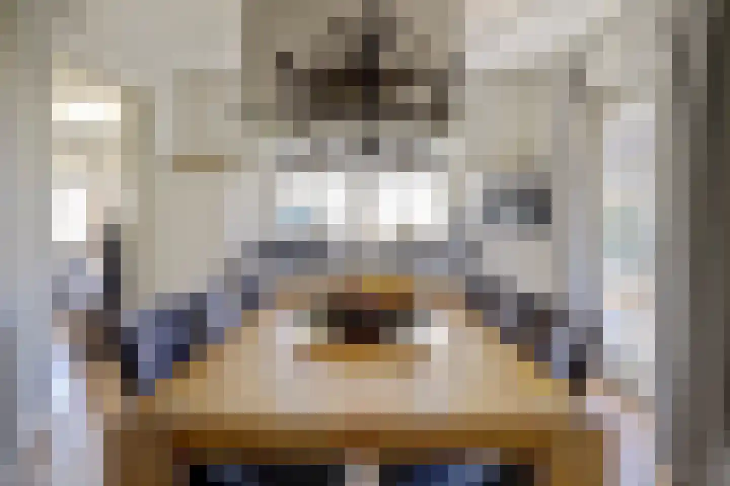 Eburonenhof 6 Maasbree thumbnail 10