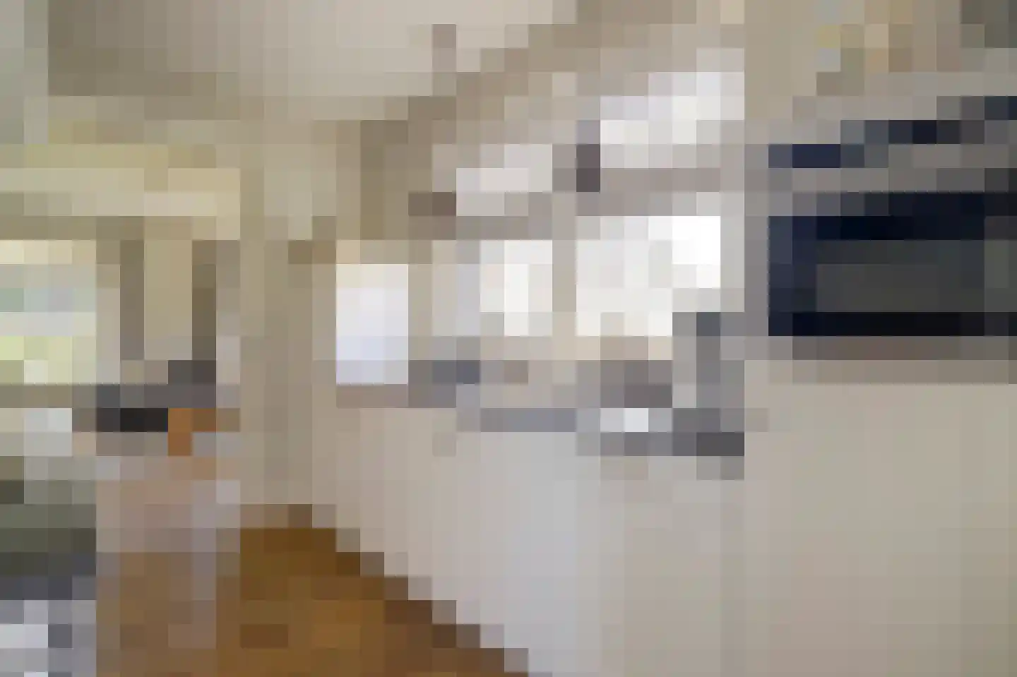 Eburonenhof 6 Maasbree thumbnail 14
