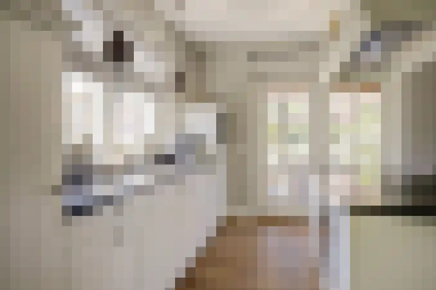 Eburonenhof 6 Maasbree thumbnail 15