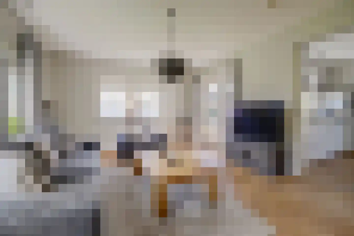 Eburonenhof 6 Maasbree thumbnail 22