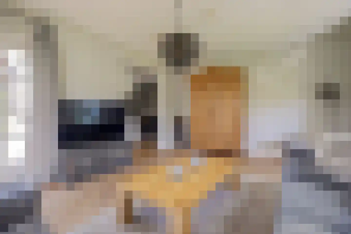 Eburonenhof 6 Maasbree thumbnail 24