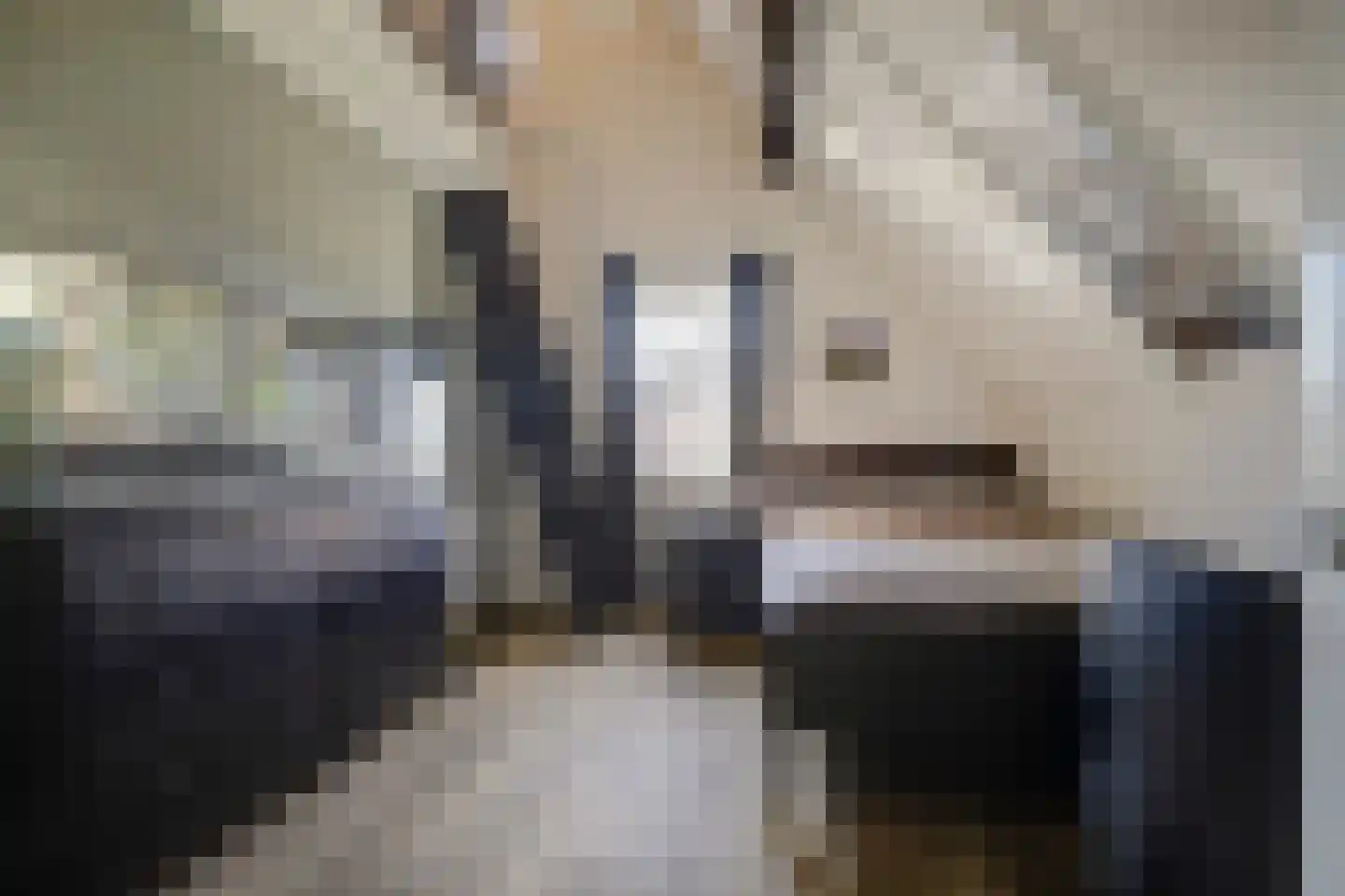 Eburonenhof 6 Maasbree thumbnail 34