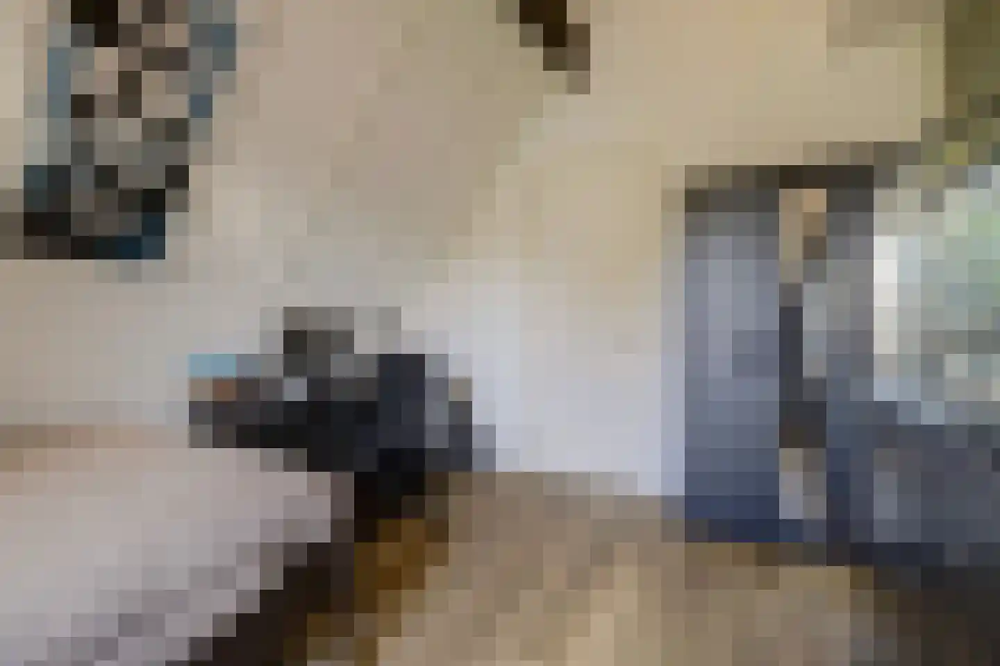 Eburonenhof 6 Maasbree thumbnail 35