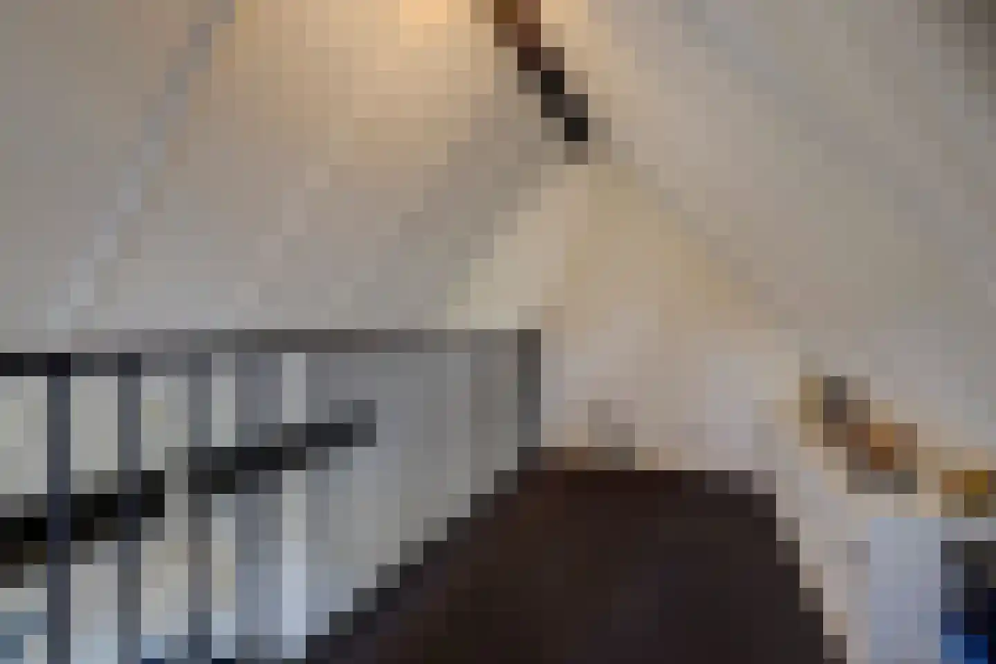 Eburonenhof 6 Maasbree thumbnail 37