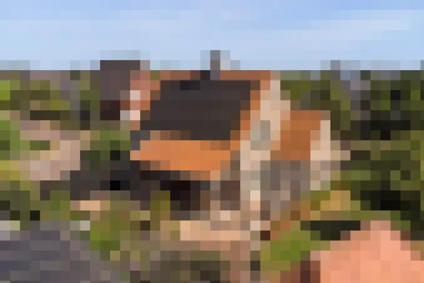 Eburonenhof 6 Maasbree thumbnail 4