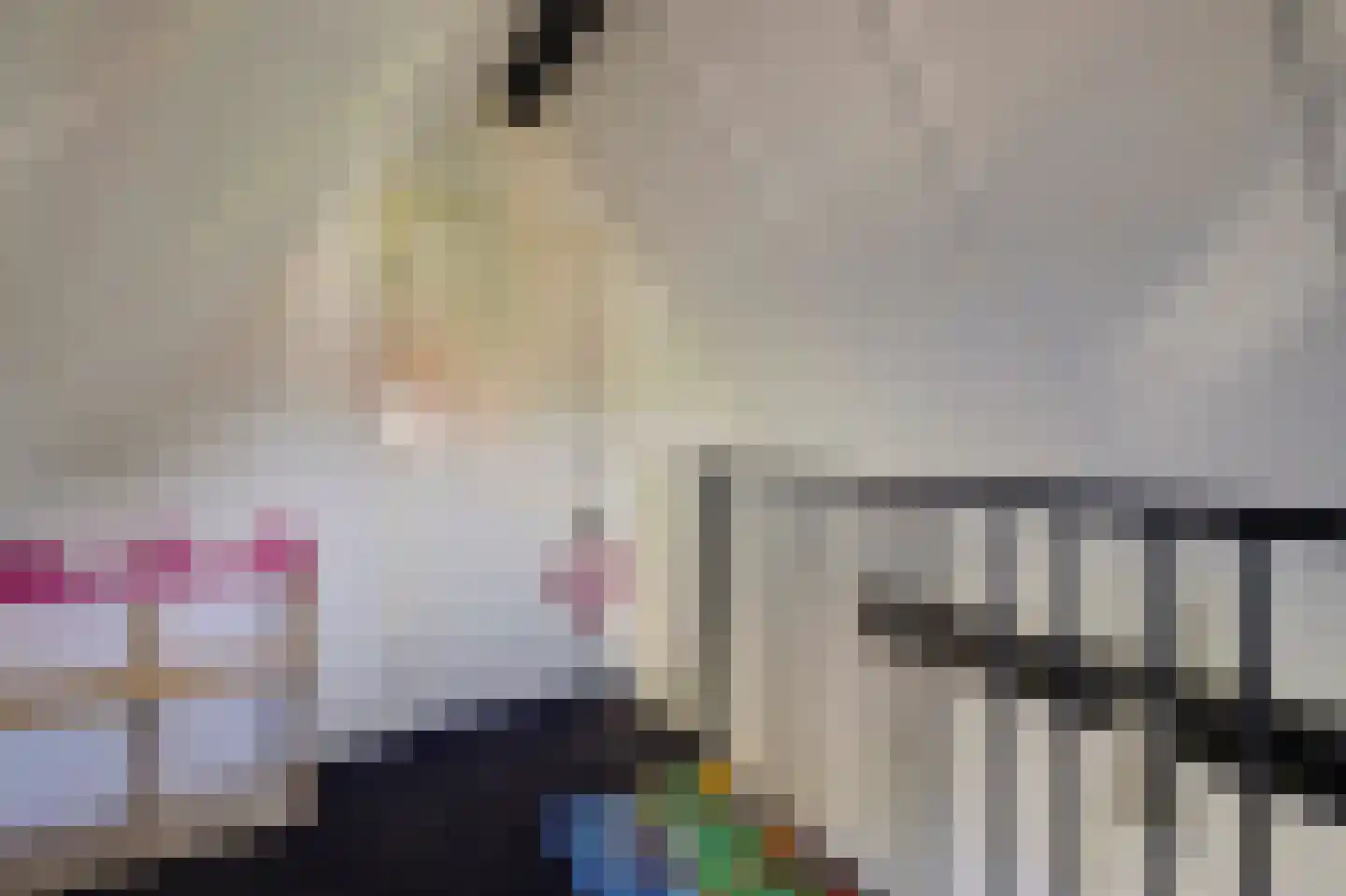 Eburonenhof 6 Maasbree thumbnail 40