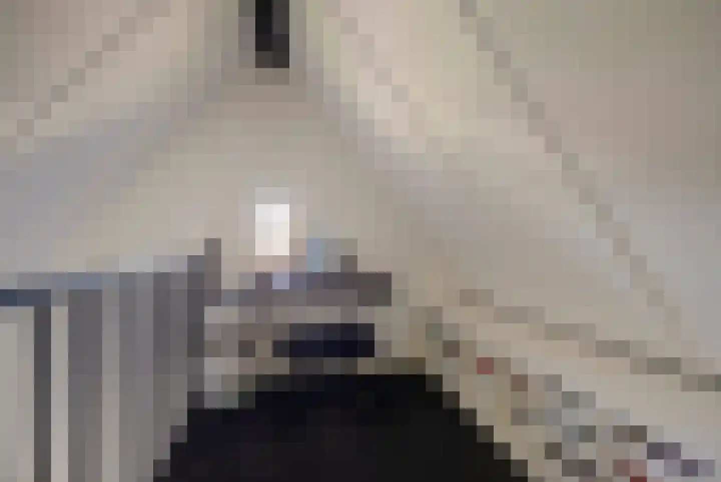 Eburonenhof 6 Maasbree thumbnail 41