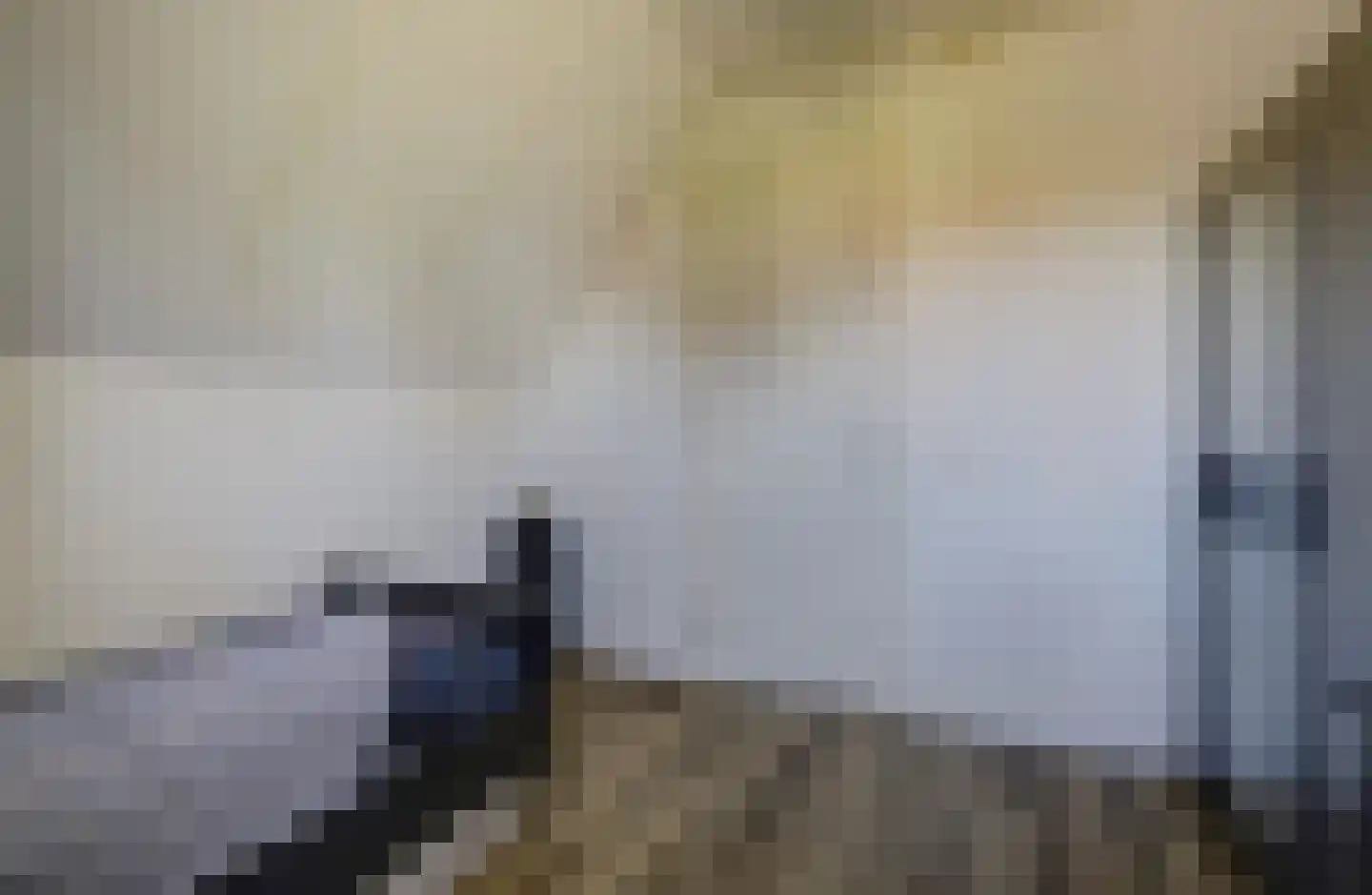 Eburonenhof 6 Maasbree thumbnail 44
