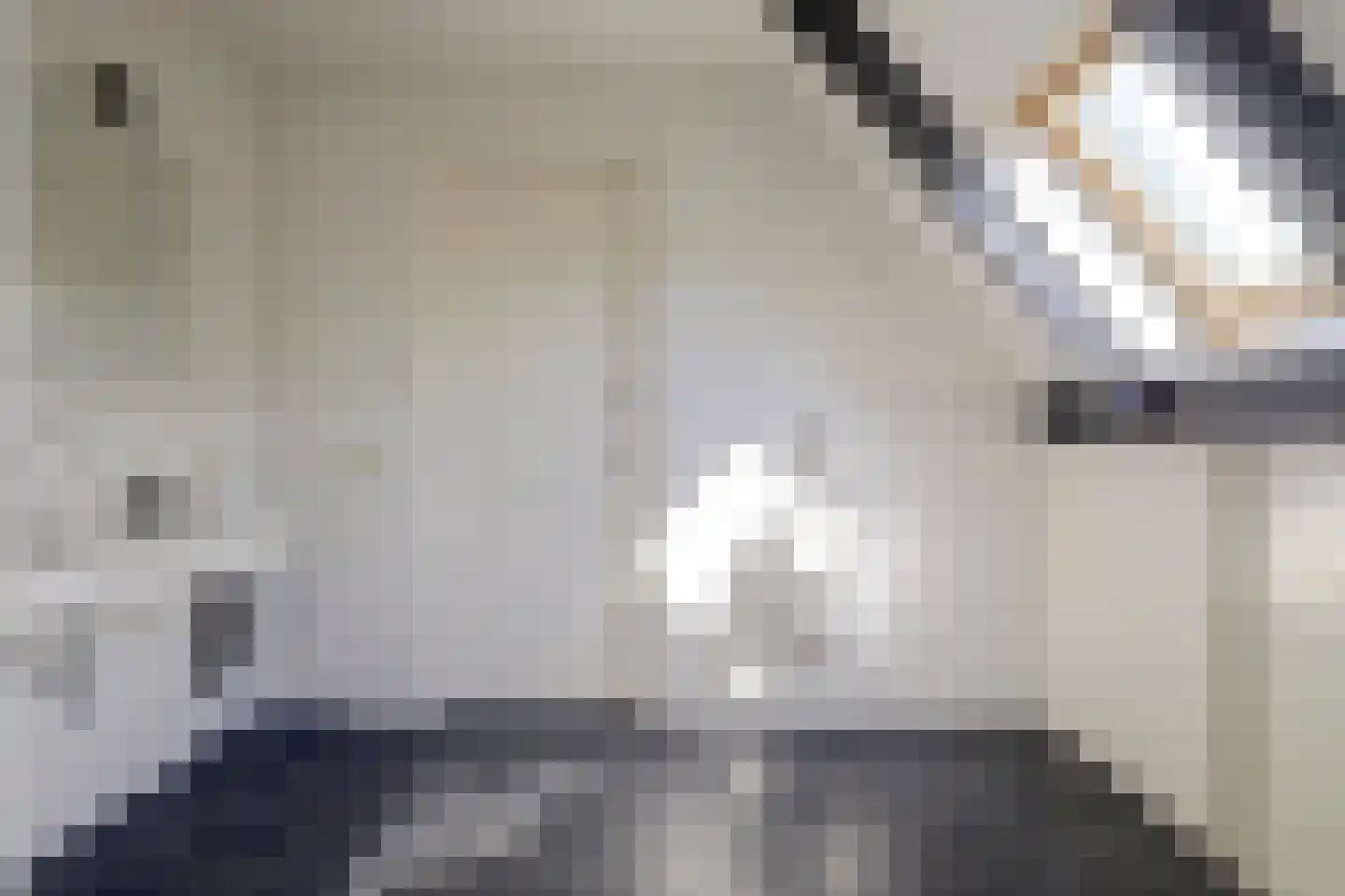 Eburonenhof 6 Maasbree thumbnail 49