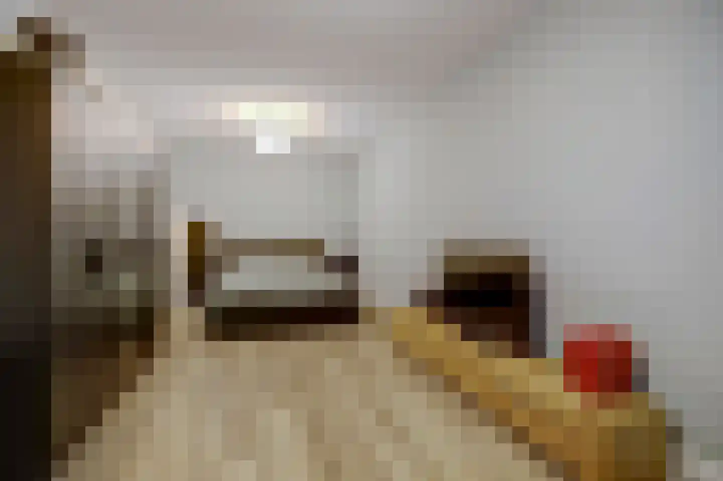 Eburonenhof 6 Maasbree thumbnail 55