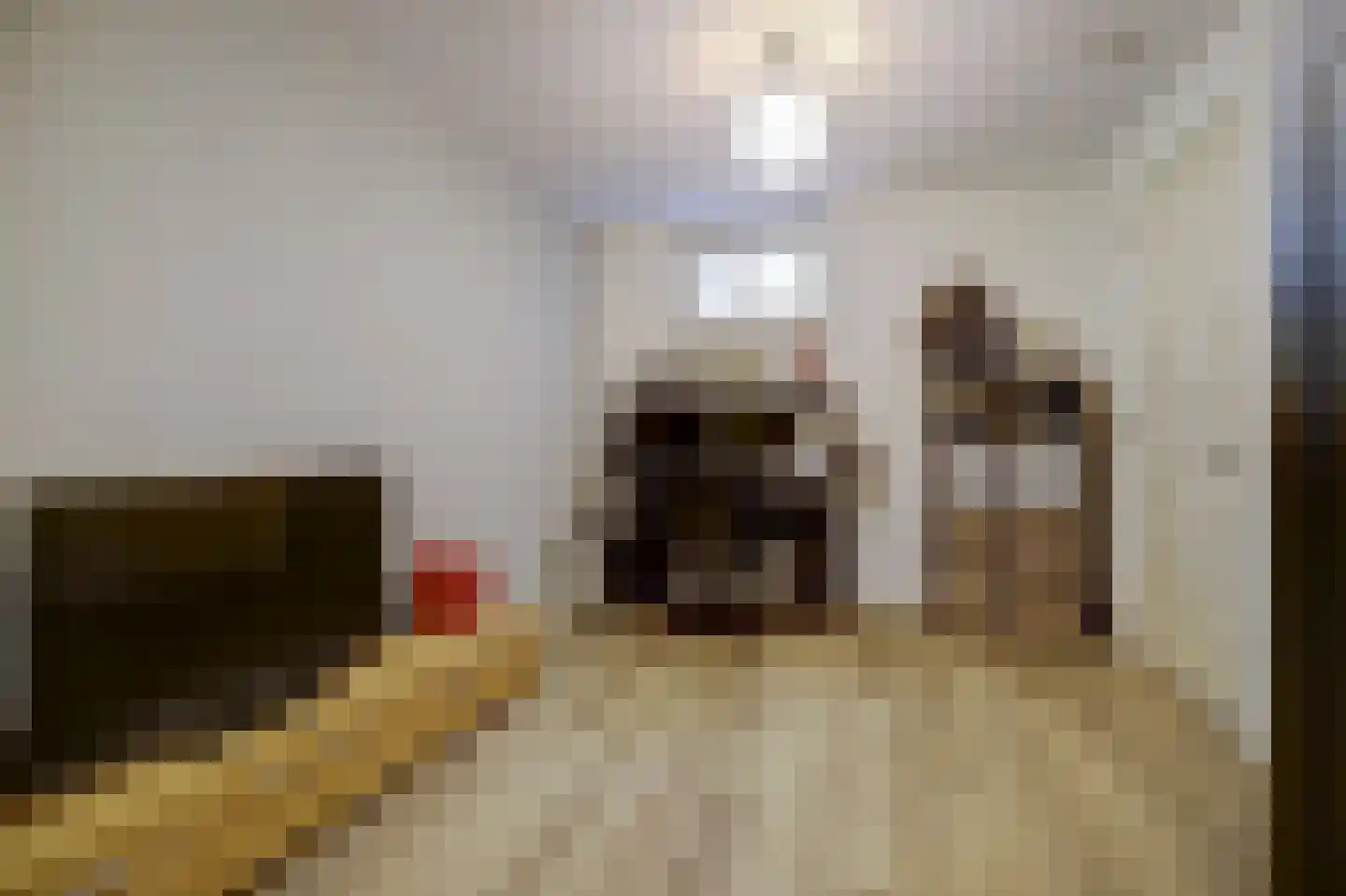 Eburonenhof 6 Maasbree thumbnail 56