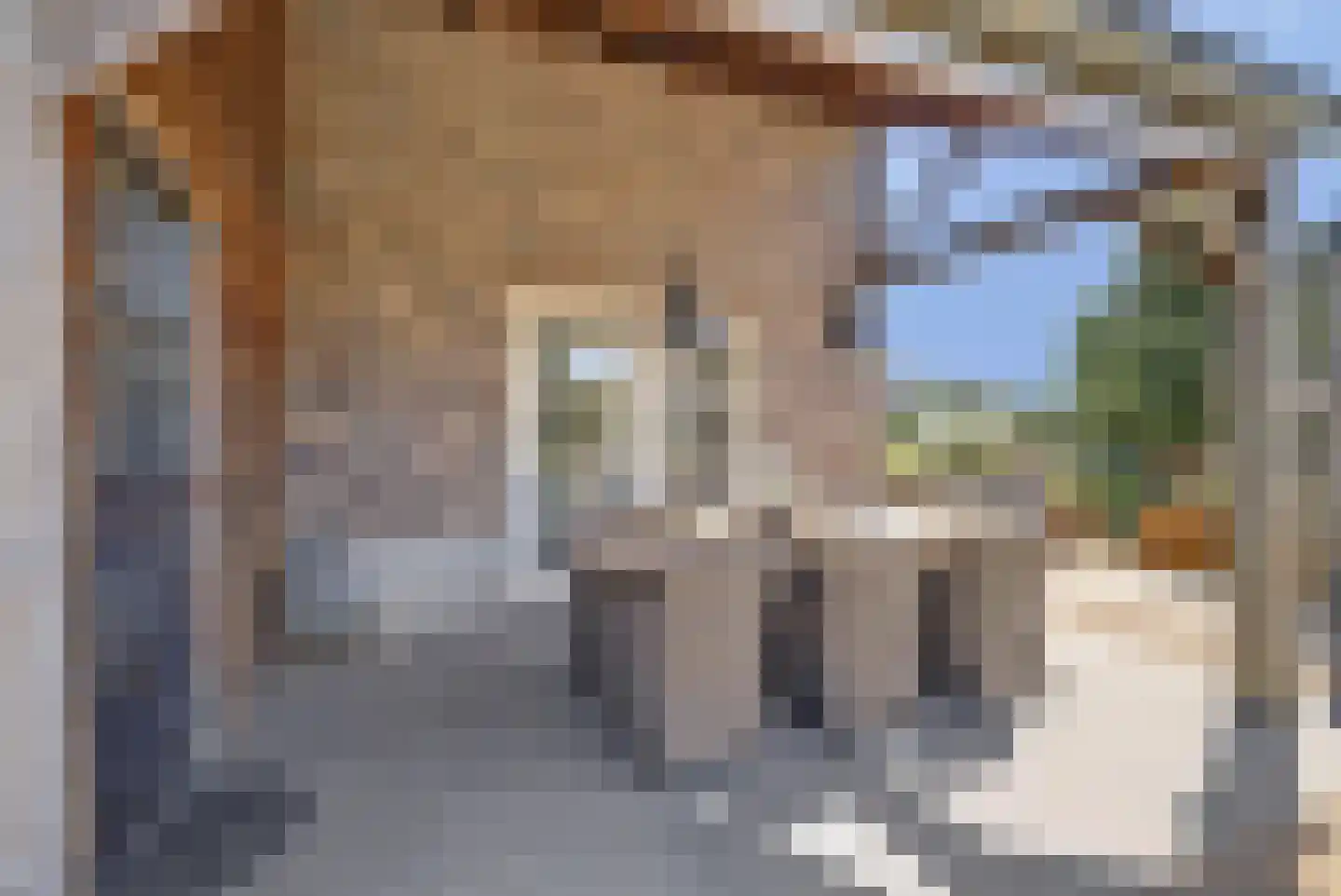 Eburonenhof 6 Maasbree thumbnail 59