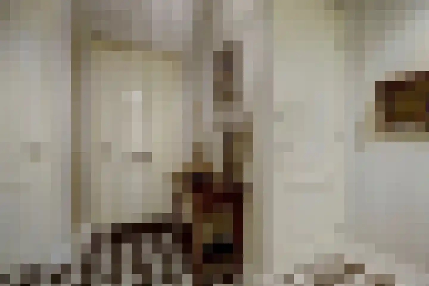 Eburonenhof 6 Maasbree thumbnail 6
