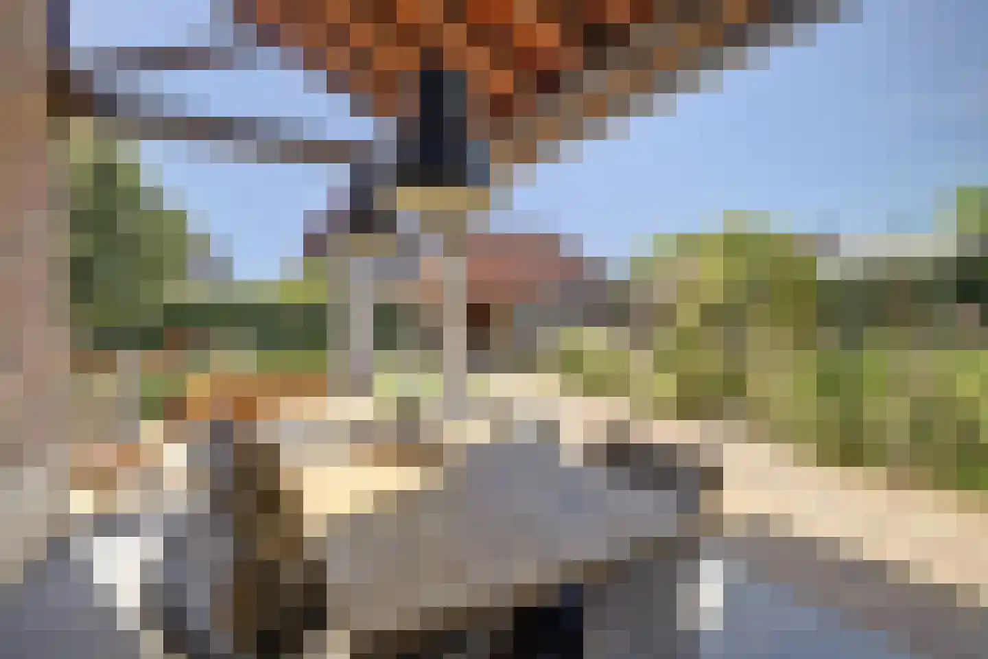 Eburonenhof 6 Maasbree thumbnail 60