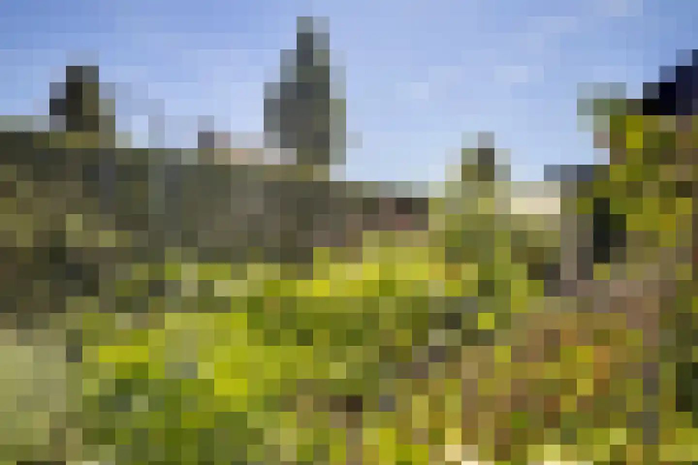 Eburonenhof 6 Maasbree thumbnail 65