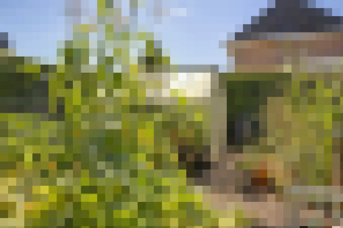 Eburonenhof 6 Maasbree thumbnail 66