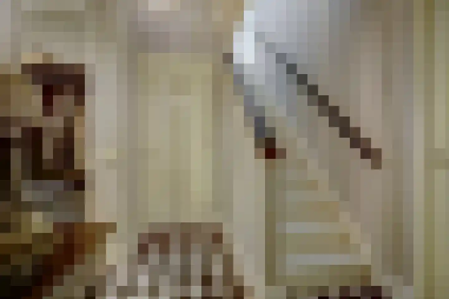 Eburonenhof 6 Maasbree thumbnail 7